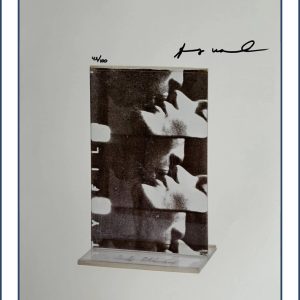 REPORT NUMBER 341267