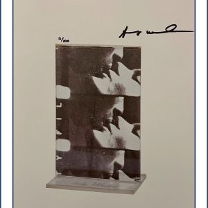 REPORT NUMBER 341296