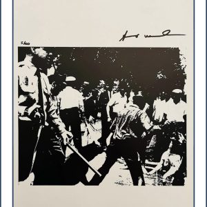 REPORT NUMBER 341491